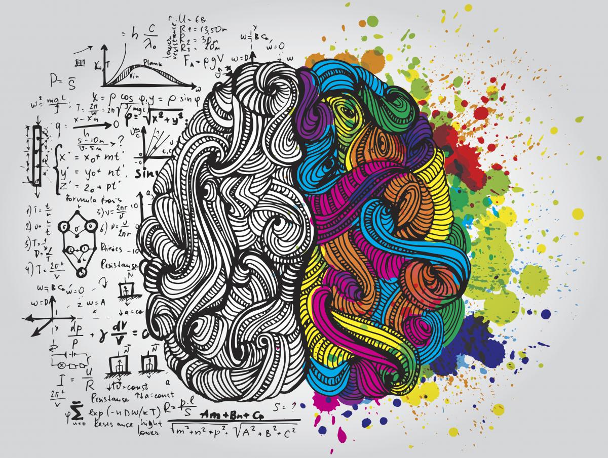 drawing of brain divided into scientific and creative halves