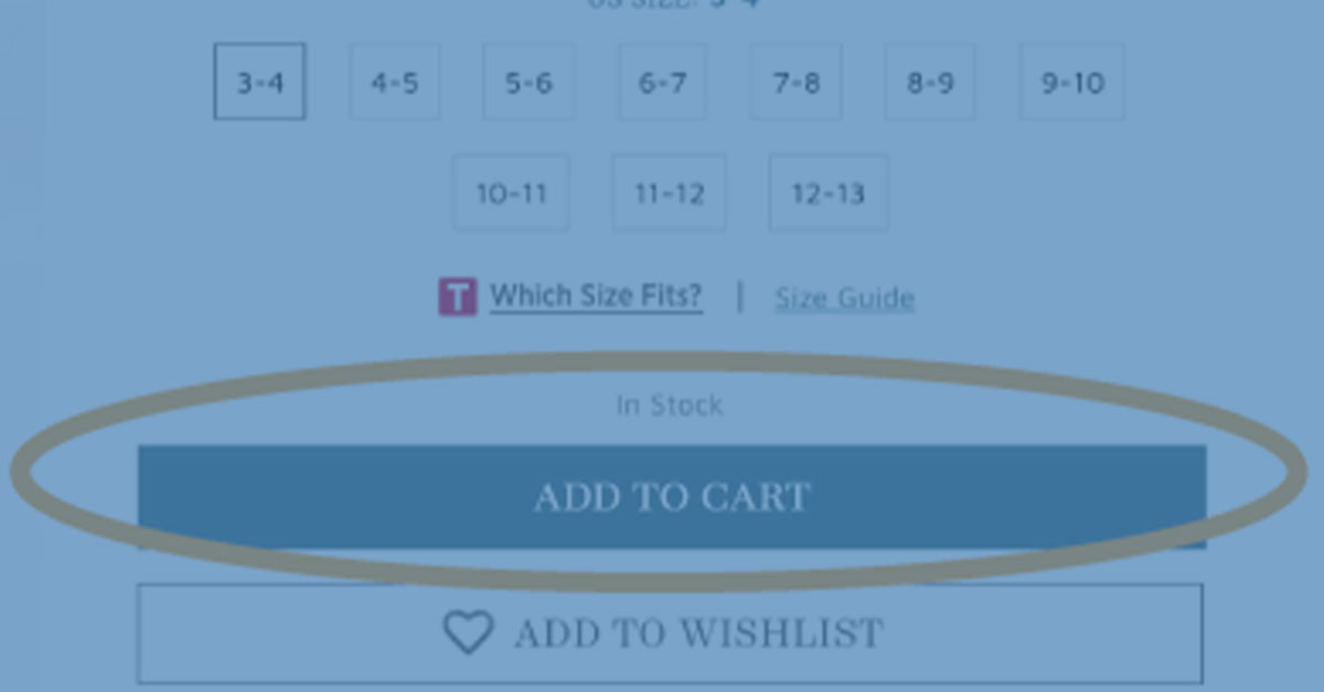 Zoomed in view of CTA Button "Add to Cart"
