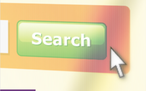 website search button
