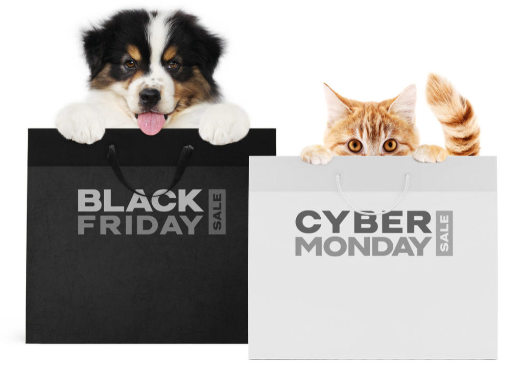 puppy dog and cat pets together showing  black and silver shopping bags with black friday and cyber monday text isolated on white background blank template and copy space